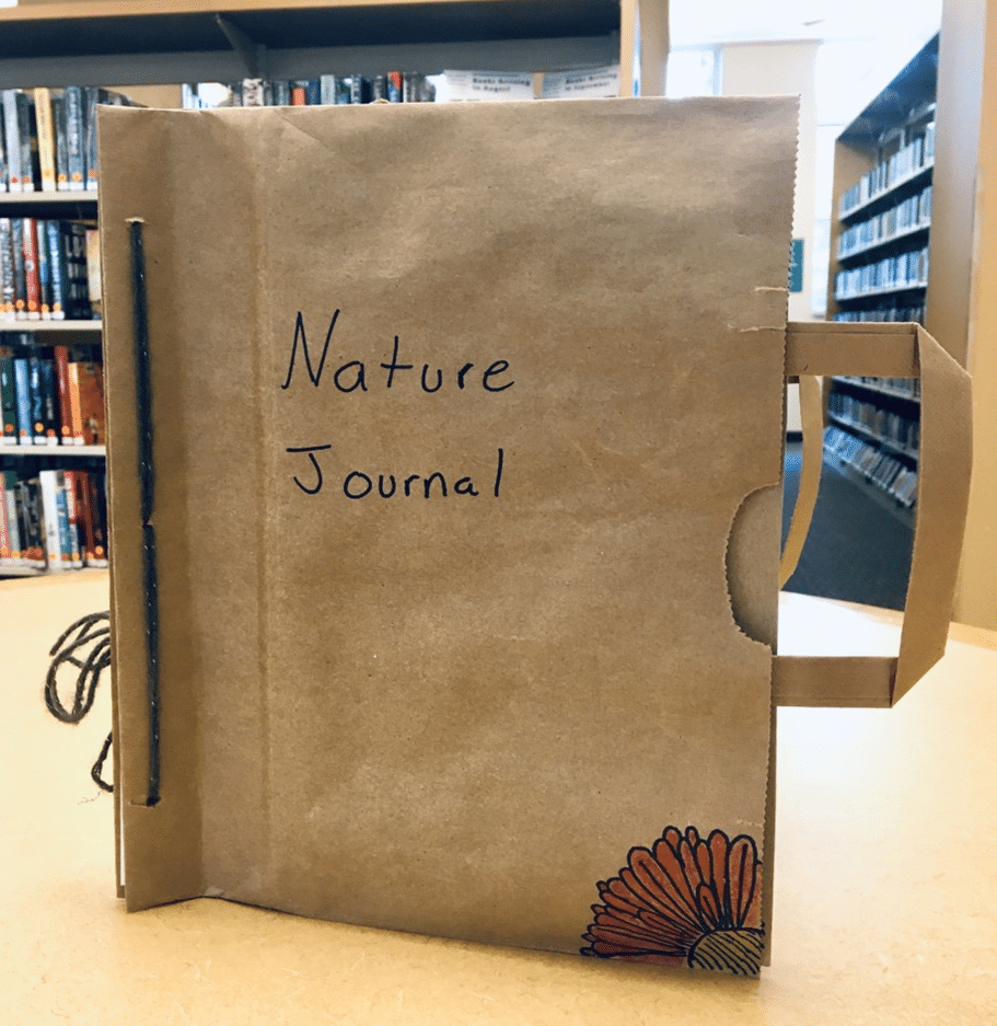 diy-nature-journals-virtual-tween-meetup-warren-public-library